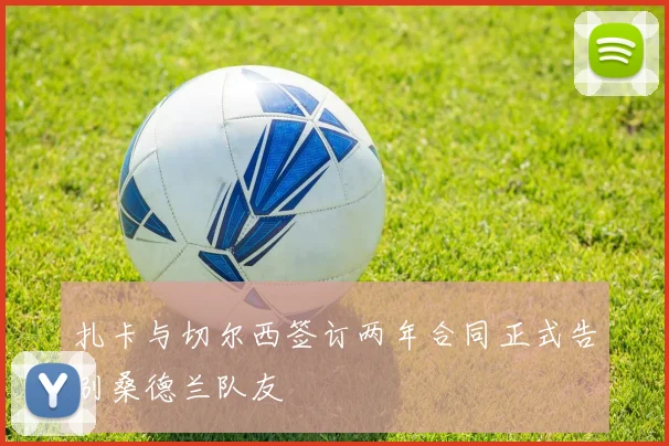 扎卡与切尔西签订两年合同正式告别桑德兰队友